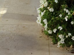 Burgundy Fleury Antique Paving